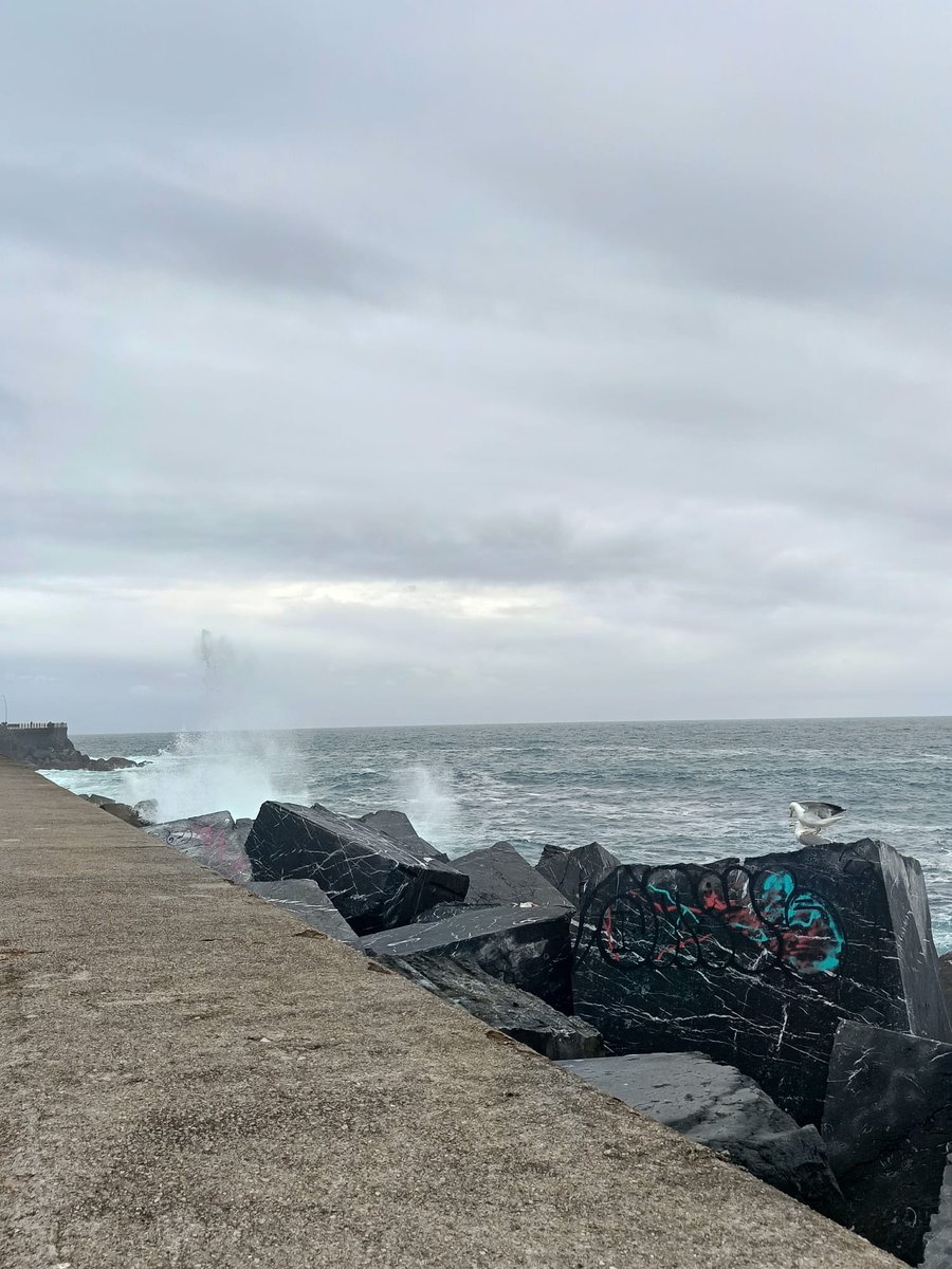 Donostiastyle tweet media