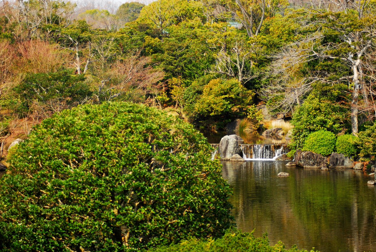 33miura's tweet image. BW
 
無性にモノクロ・フィルムで撮影したい！
 
万博記念公園（大阪・千里）
 
#CAMERA
#Leica
#Nikon
#Bronica
#Kodak
#FujiFilm
