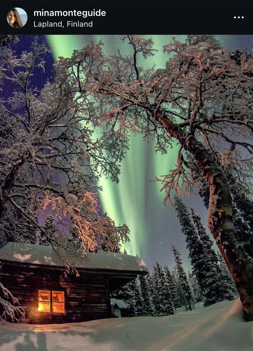 Mina Ghorbani tweet media