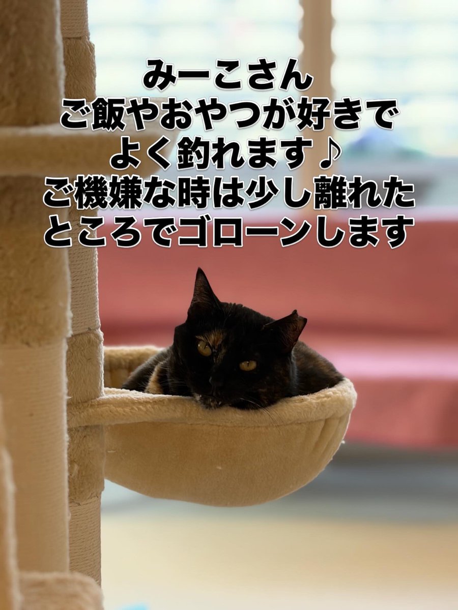 『おうちにおいで』 tweet media