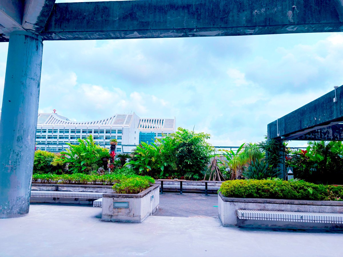 ( ˶´◜◡◝`˶ )
ふわじろとふわいつをっ

さがせぇ！(  ˶ˊ ᗜ ˋ˶  )