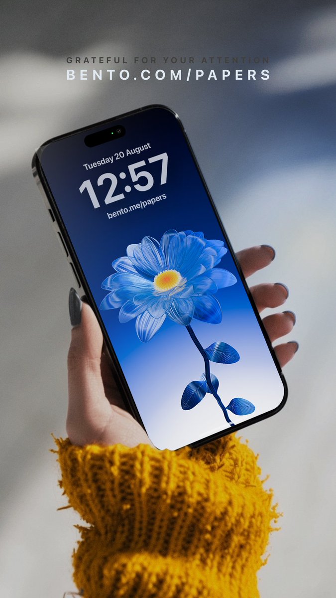 Papers_app's tweet image. Bloom in calm, shine in blue 🌸💙#Minimal #Aesthetic