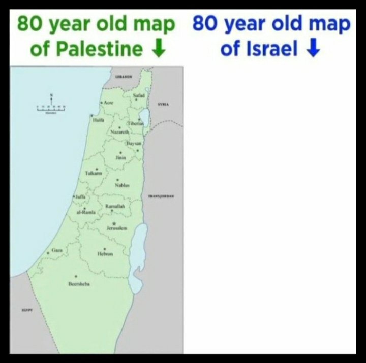 Bernie's Profile tweet media