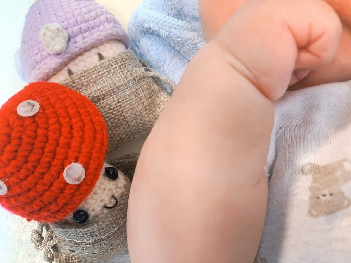 Ivy 🍄《 ARP 》 tweet media