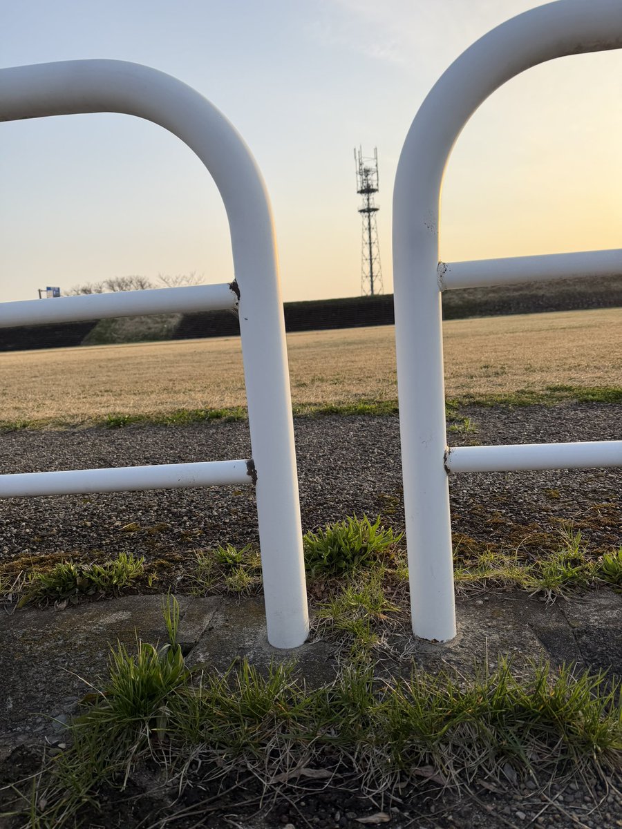 IFukuya's tweet photo. ボクねぇ、11ヶ月で22.5キロだったの。
だから大好きな🍎と🍠が🈲になって、1ヶ月後の誕生日には21.3キロになってたの。
この隙間とおれなかったんだよね。
今日さぁ、ママが来いっていうし、うまうまがあったからいってみたの。通れたっ‼️ https://t.co/9v5MTJ1MCv