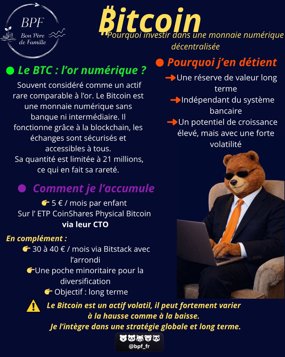 bpf_fr's tweet photo. Après le S&amp;P 500, place au Bitcoin dans le portefeuille de mes enfants 📊

Un actif souvent critiqué, volatil, et pas toujours compris.

Voilà comment je l’intègre concrètement pour mes enfants, avec une approche simple et progressive 👇 https://t.co/CUMF7cz31u