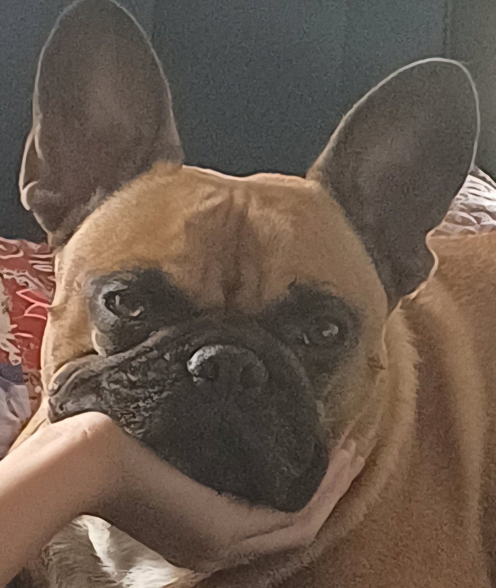 No i niezmiennie ***** ***! #SnaW tweet media