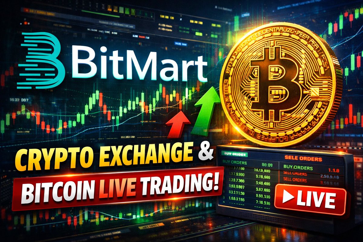 Alpha Vector tweet media