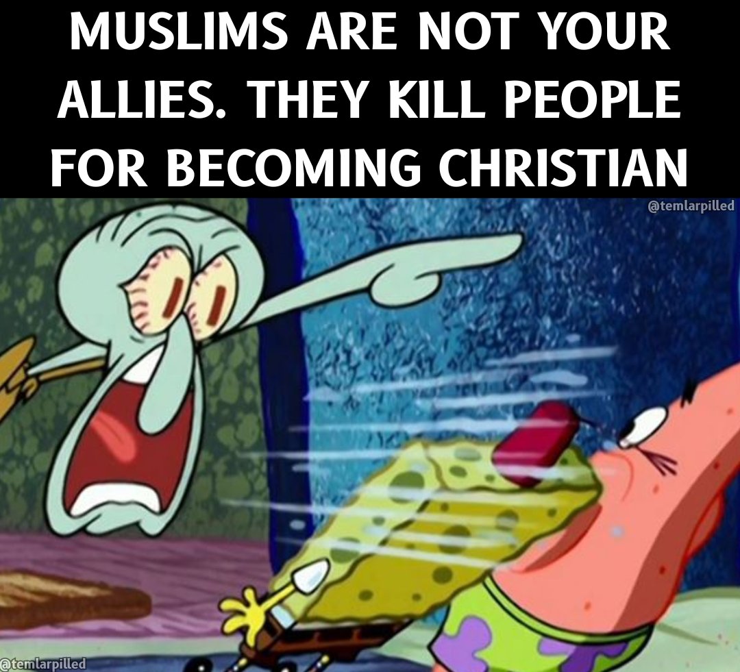 Templarpilled tweet media