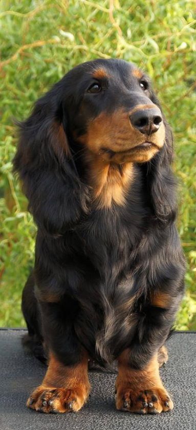 Animal planet❤️ tweet media