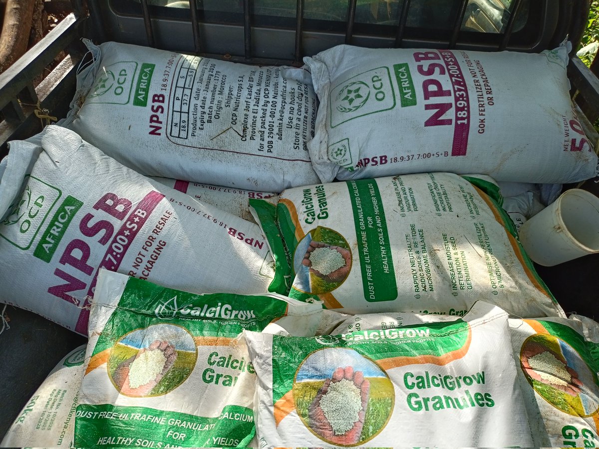 Andrew k Rotich tweet media