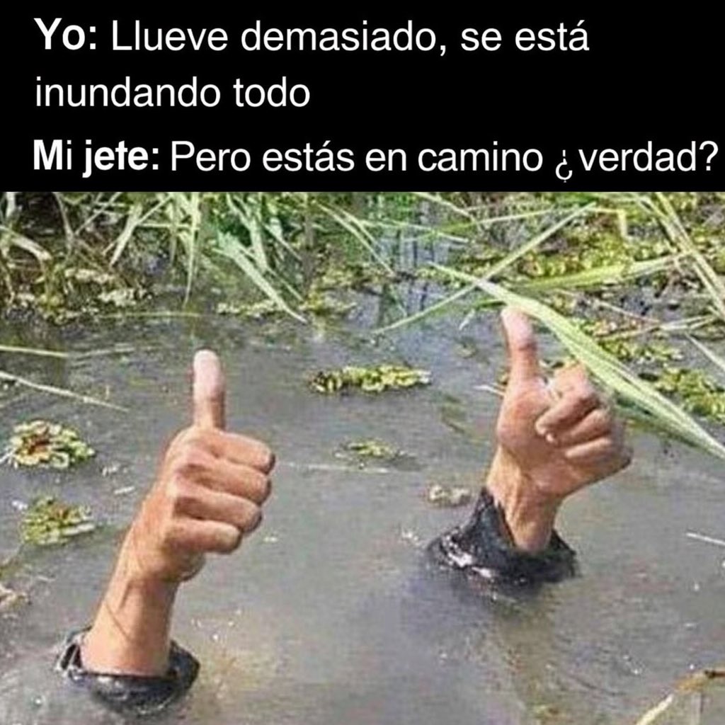 Ceverplay's tweet photo. @Raulbogarin https://t.co/xNxUgVhMXZ