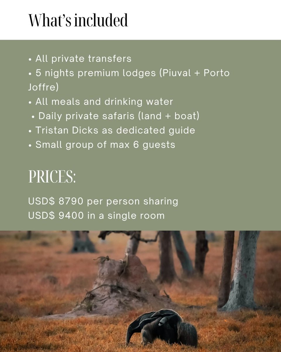 WanderingThru tweet media