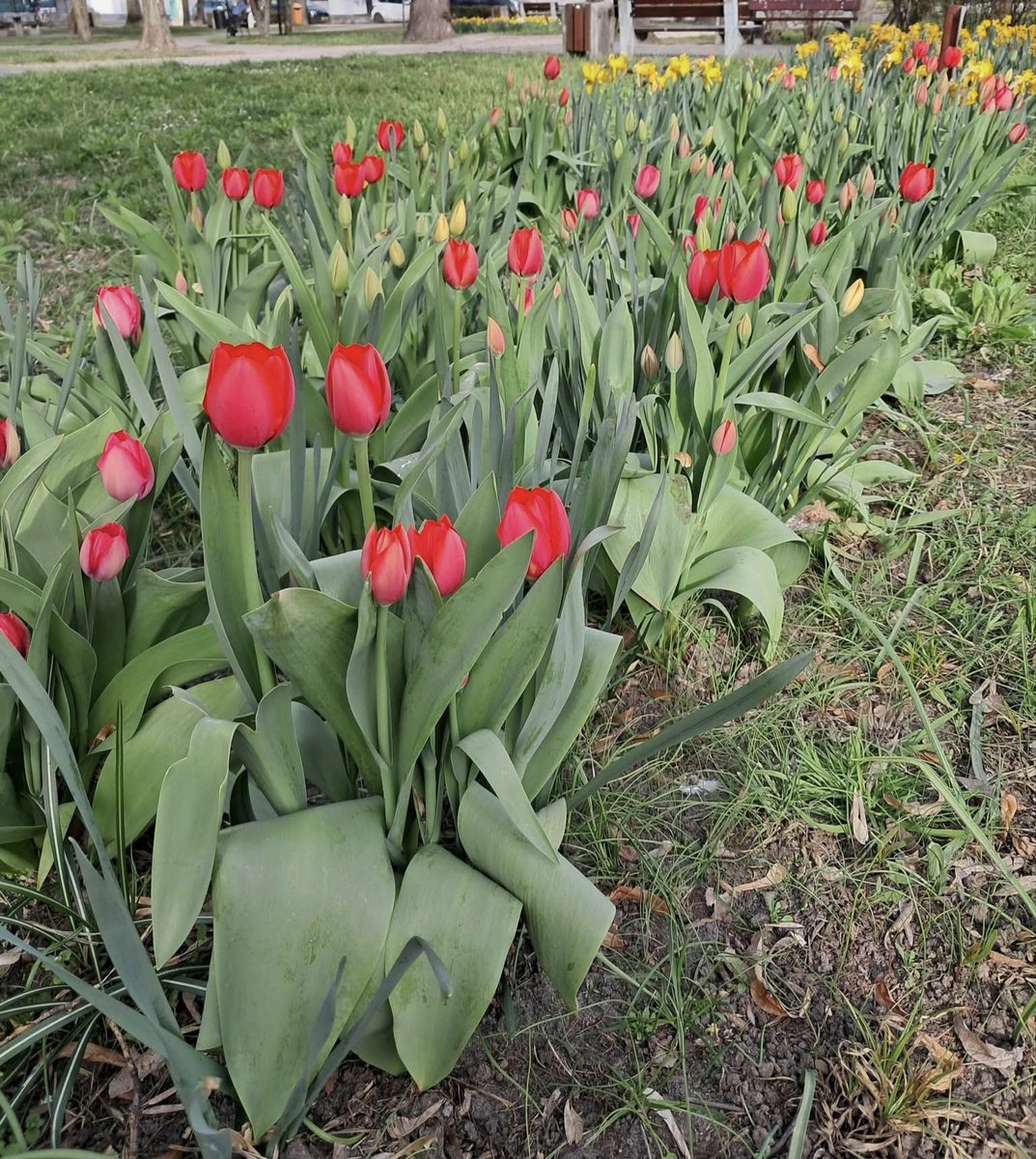 Grzesiek 🇵🇱 tweet media