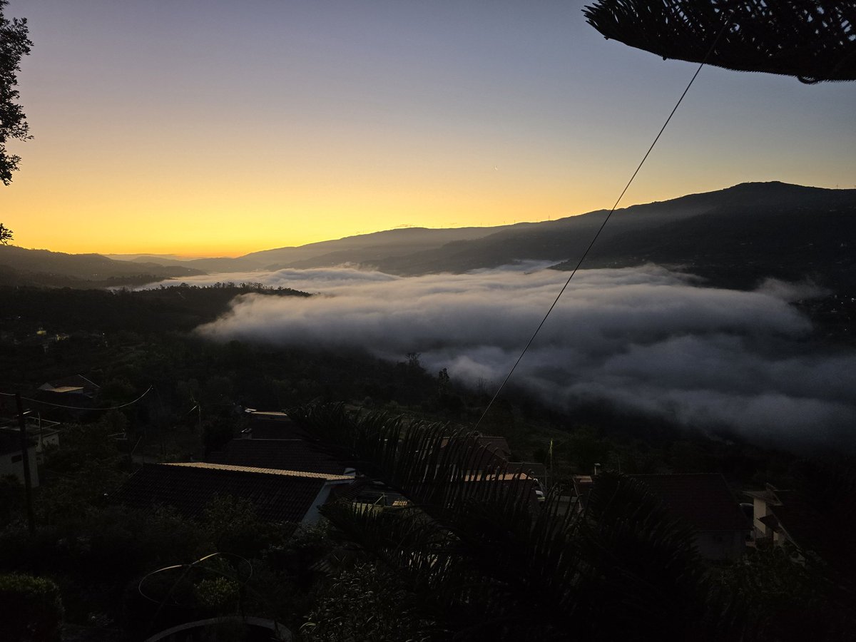 Tamara Rood tweet media