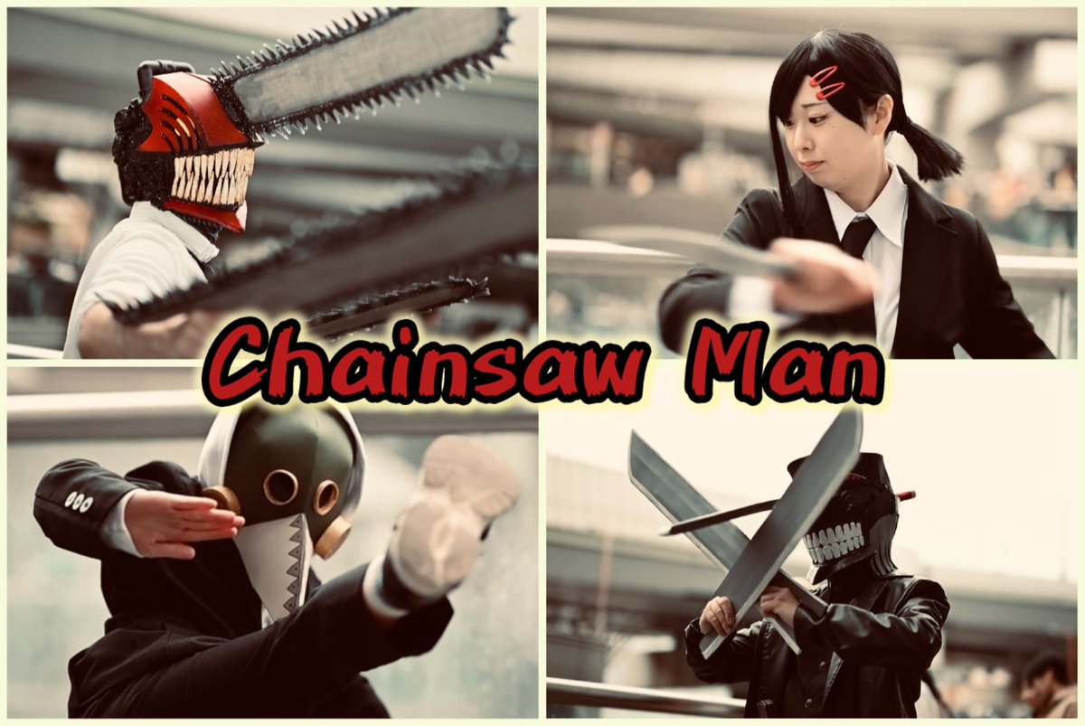 猫カメ📷 tweet media