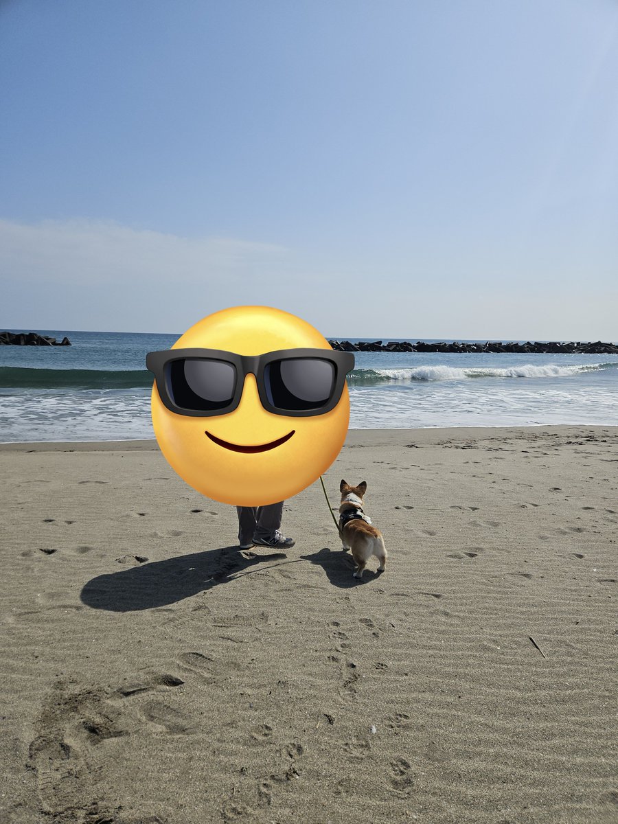 キリ眉のタビー tweet media