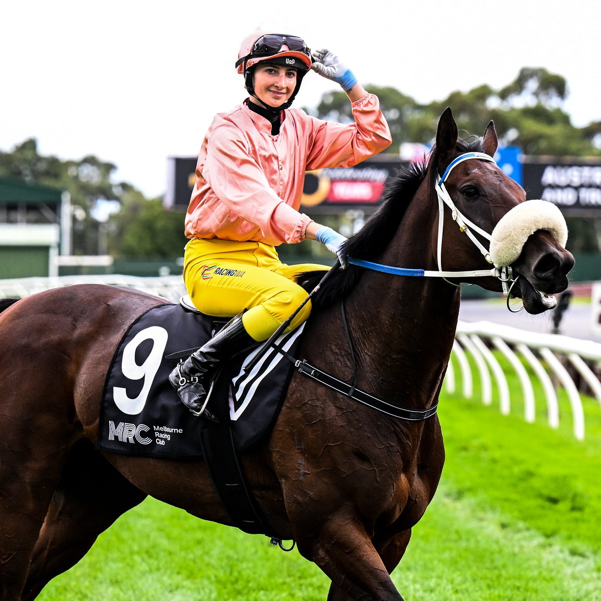 Racing Victoria tweet media