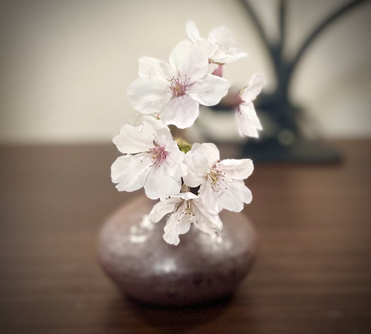 深町聡美@CHIKAPPART8/19-福岡市美術館 (@nihongago) on Twitter photo 