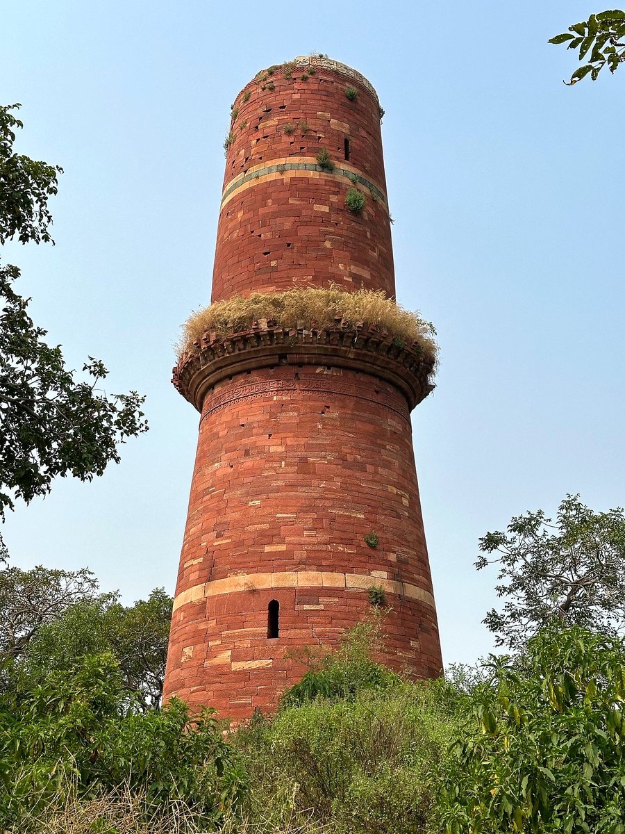 Helen Ibbott 💙📸📖 tweet media