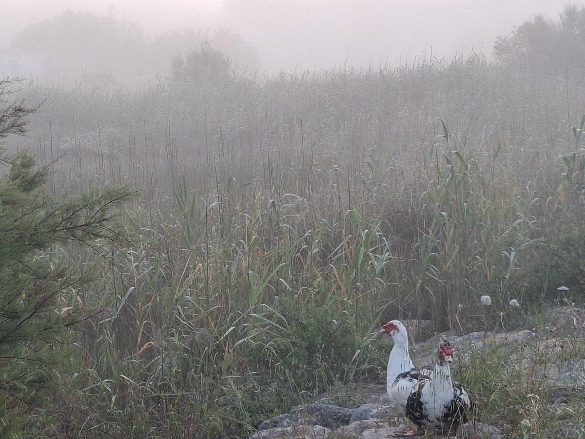 Antonio Delgado 🧔🏻♂️ tweet media