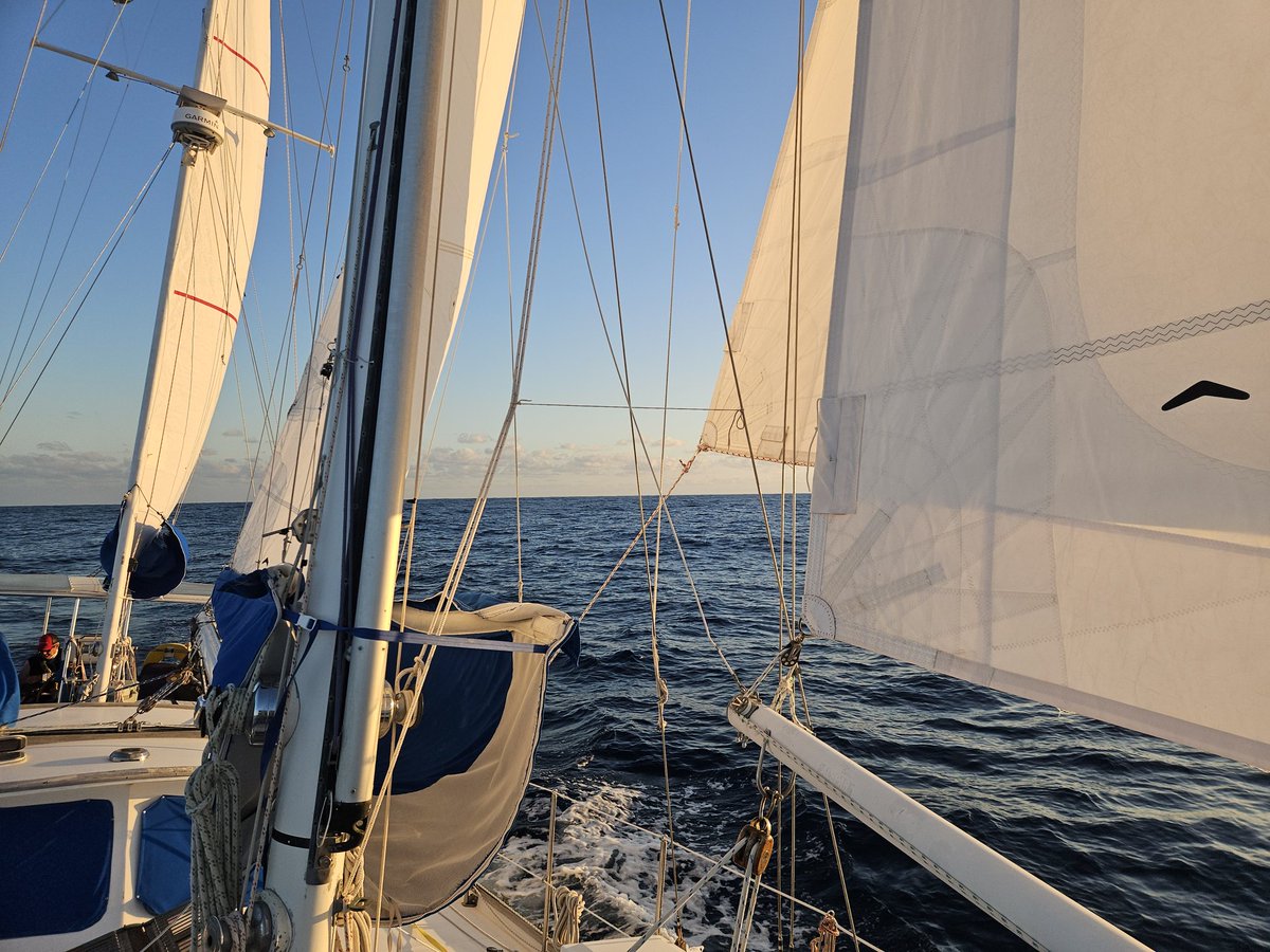 The Sailing Academy tweet media