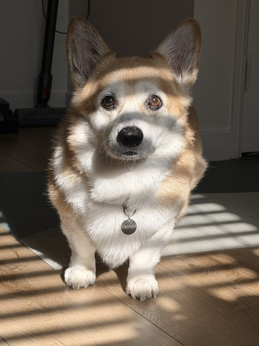 캡틴 일기 tweet media