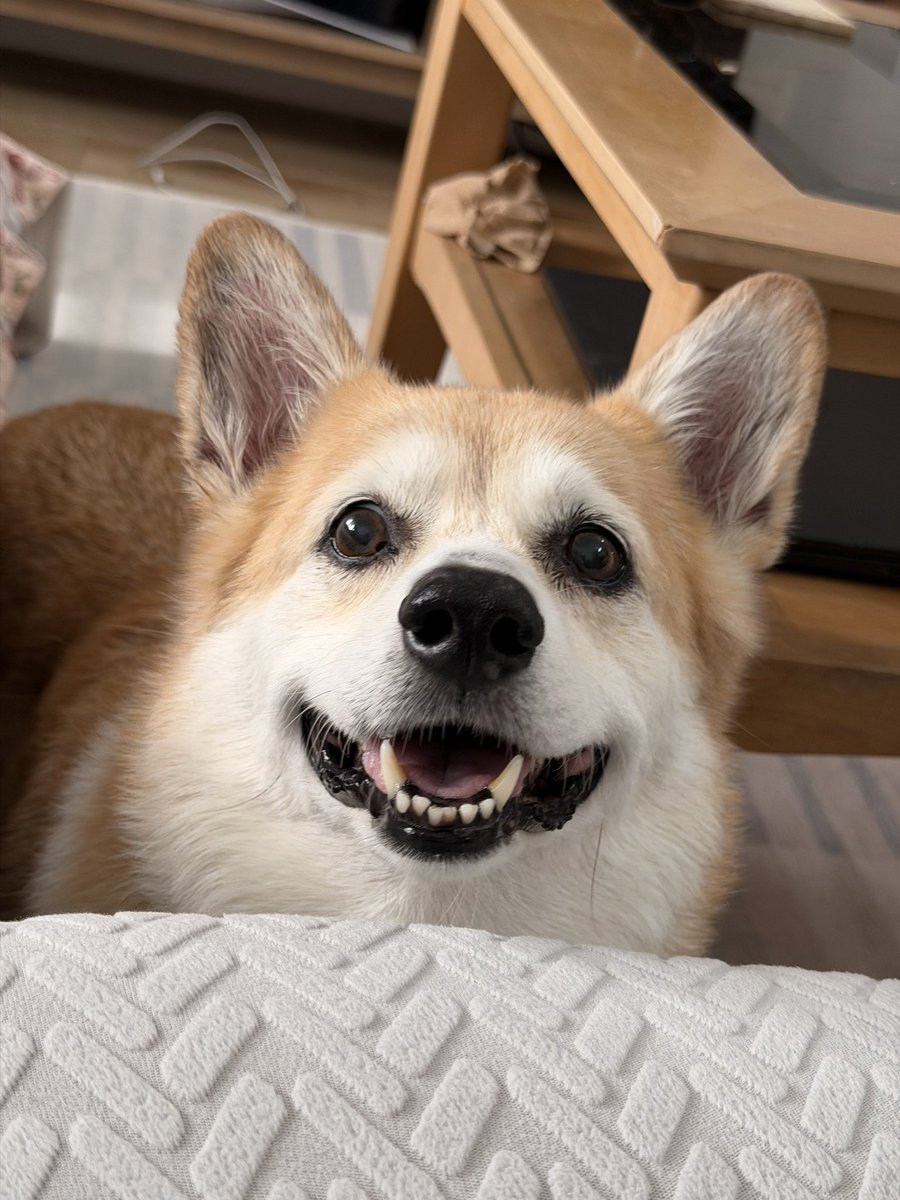 캡틴 일기 tweet media