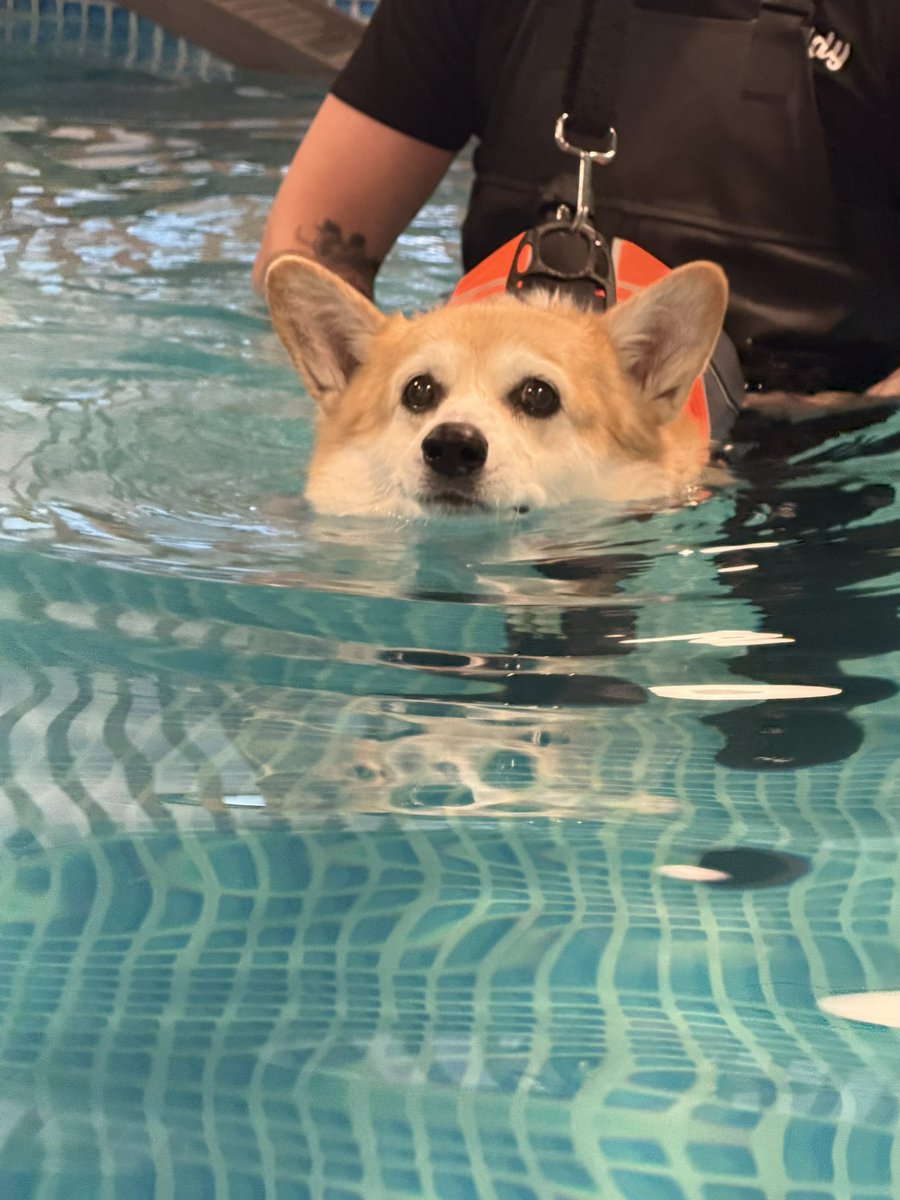 캡틴 일기 tweet media