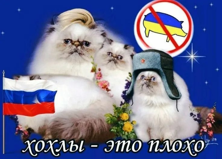 Данила tweet media