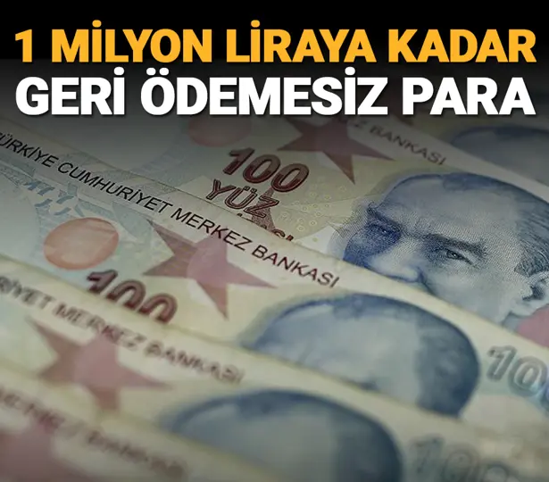 NTV tweet media