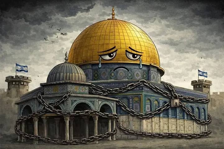 𝐙𝐚𝐢𝐧𝐮𝐥𝐥𝐚𝐡 𝐁𝐚𝐝𝐫𝐢 ³¹³ tweet media