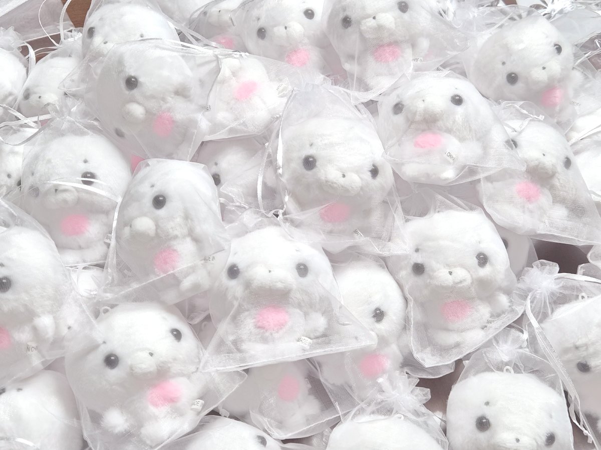 출고 준비중인 러브들 ••♡
통판 1일차 주문건들은 내일-모레부터 출고 가능할 것 같습니다!