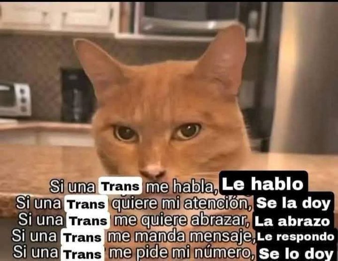 『《Decarioma》』 tweet media