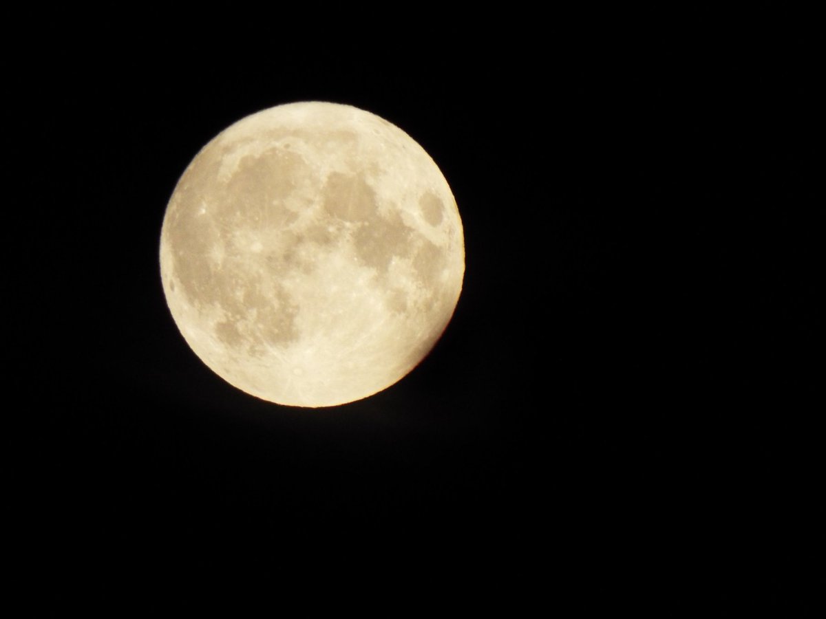 Anthony Rhead (On hiatus) tweet media