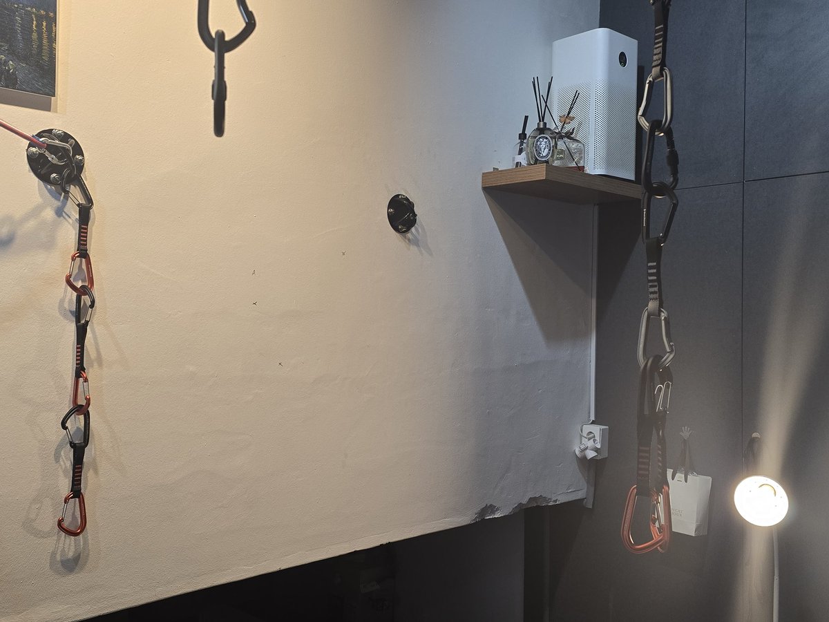 독군주 tweet media