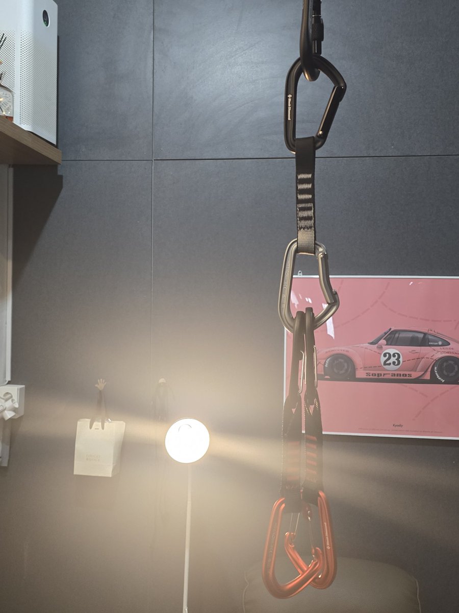 독군주 tweet media