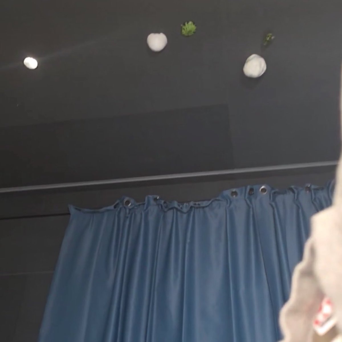 ⓜⓨ ⓙⓐⓚⓔ 🍄🦮 (slow) tweet media