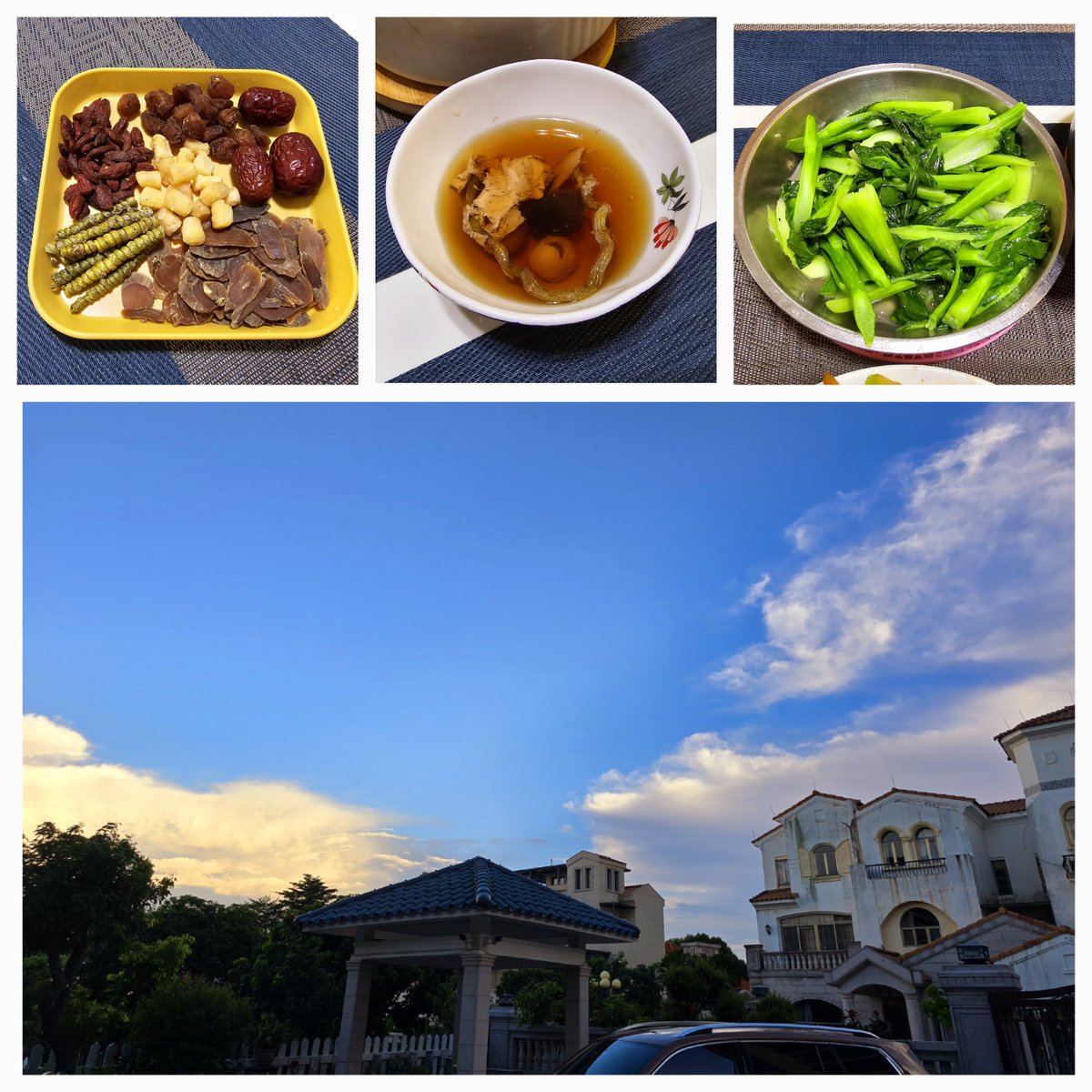 May Sargent tweet media