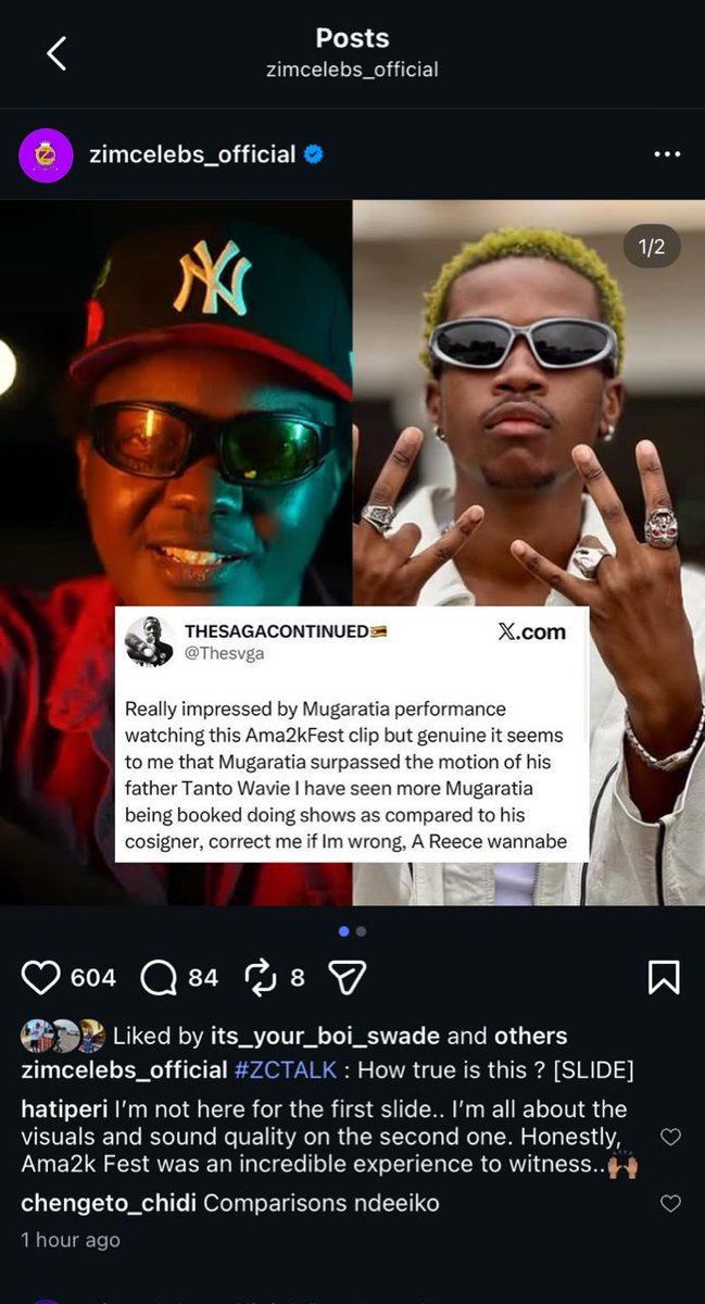 THESAGACONTINUED🇿🇼 tweet media