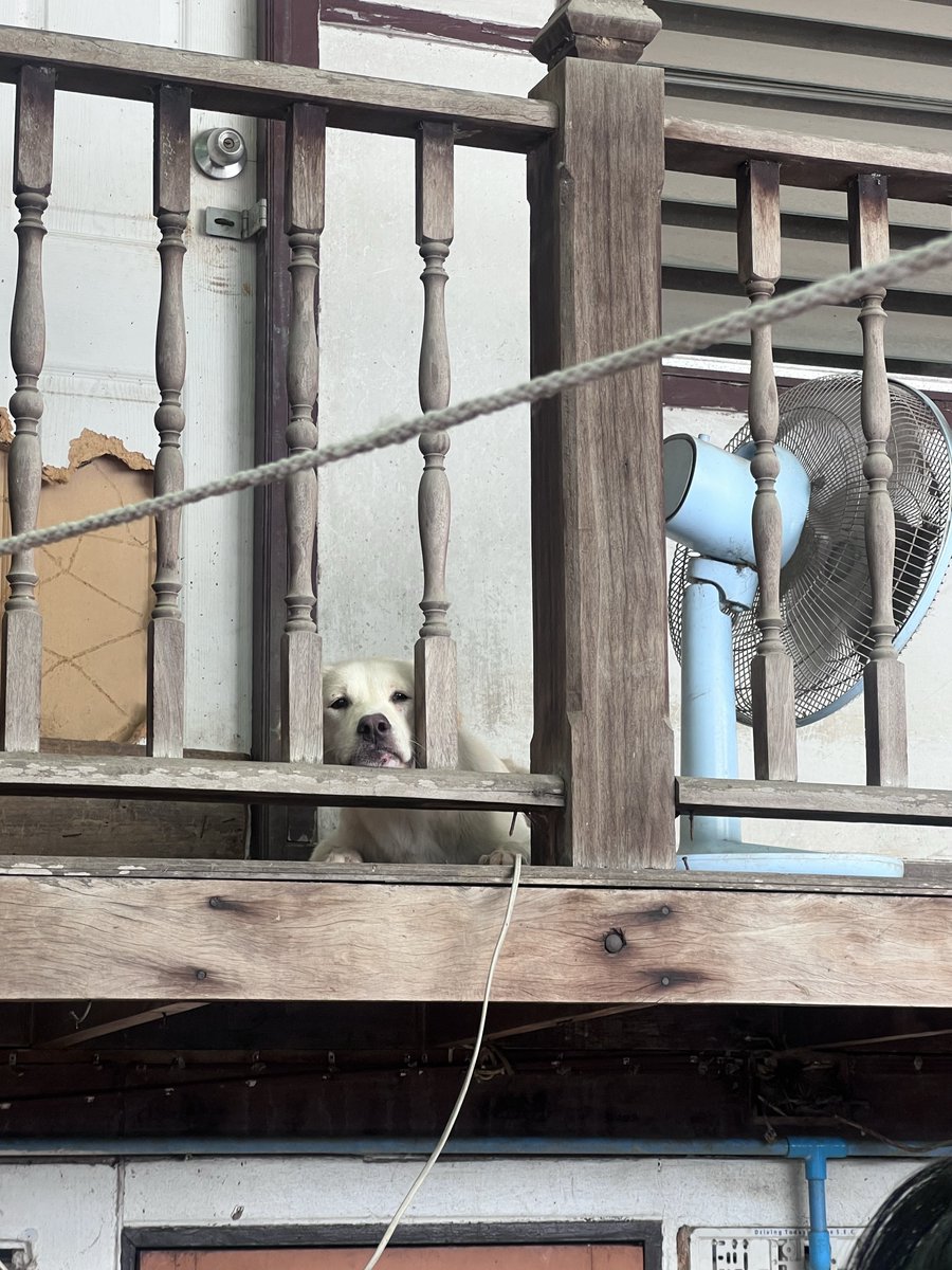 💖Mignonne 💐feel pretty🧸 tweet media