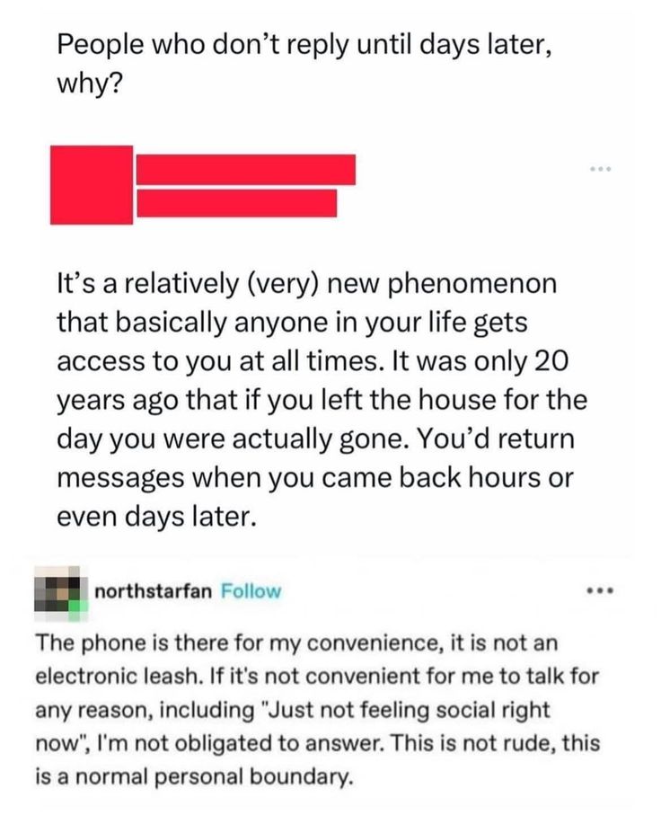 Wolf of X tweet media