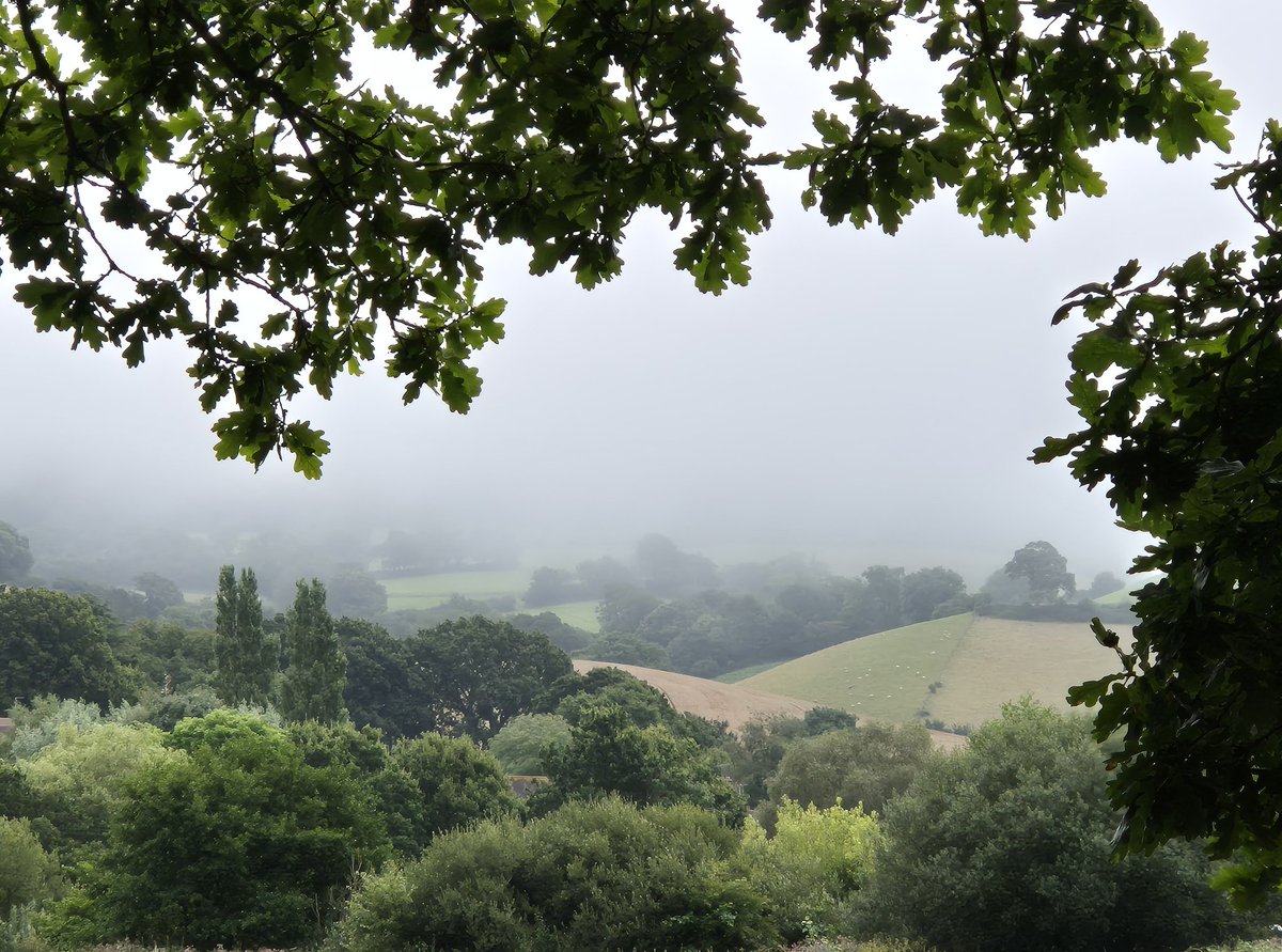 Ozymandiasdust's tweet image. I think it was the Romans who described Albion as a foggy, misty and remote little island. Well, it's certainly living up to its reputation this week. Have a wonderful Wednesday everyone... 😊 #Devon #England #Britain #wednesdaymotivation