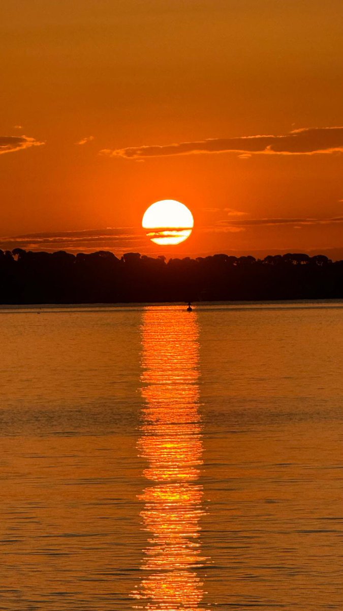 ReneTombarel's tweet image. Le lever du soleil ce matin au mouré rouge #cannes #CotedAzurFrance merci Anne Marie Jeminet-Ressort