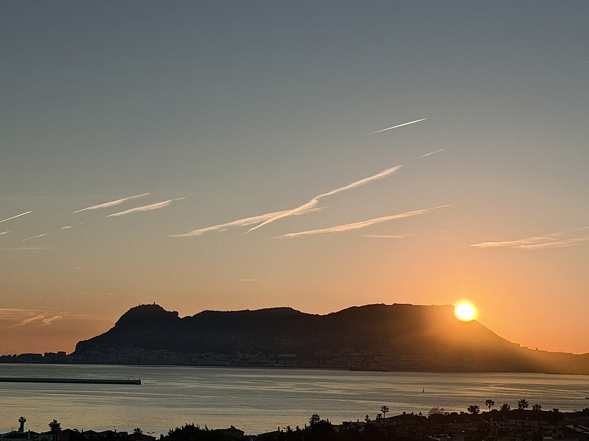 Carpe Diem...🍀 tweet media