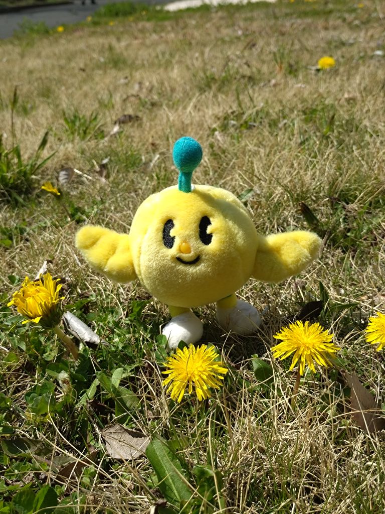 FromKibitan's tweet image. 春の野原をお散歩したよ！タンポポが咲いていたよ！
#福島県　#Fukushima #Japan #キビタン  #福島県公式キャラクター　#キビさんぽ　#タンポポ