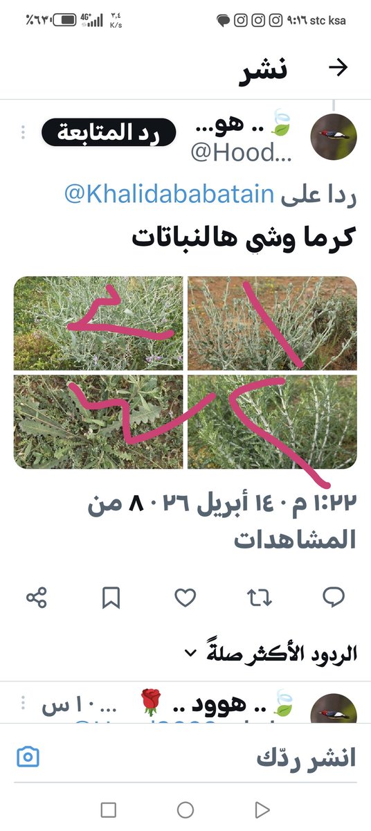 خالد أبابطين tweet media