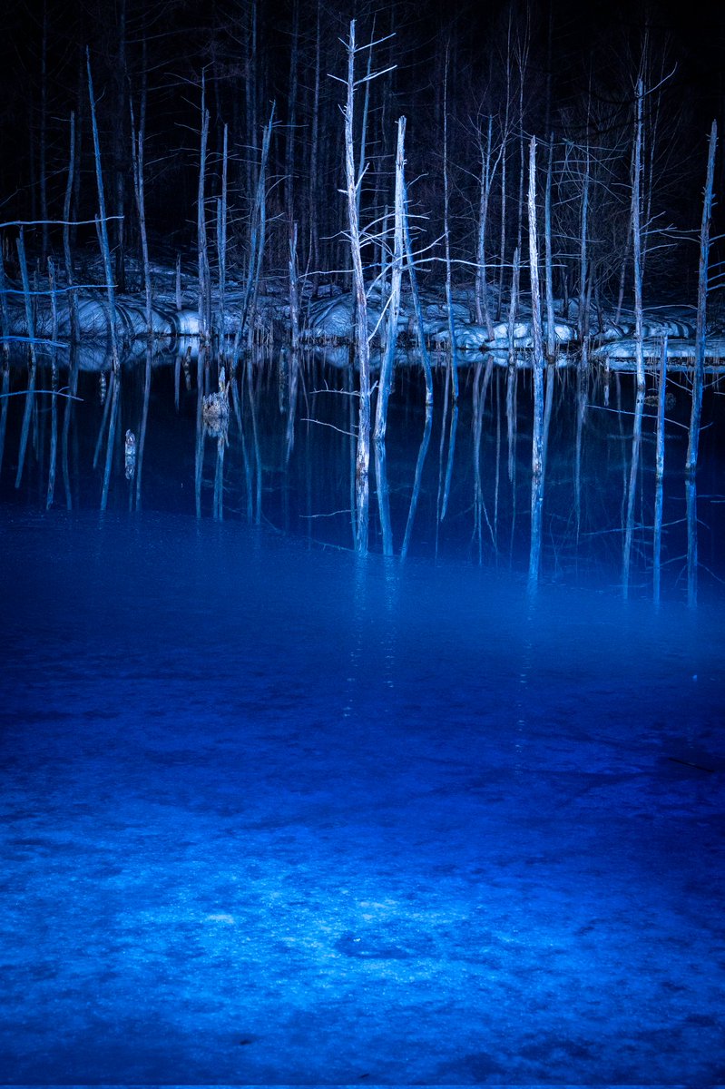 📸作品紹介📸 『Lapis Lazuli』 shot by 応用化学系 新修士1年 北海道