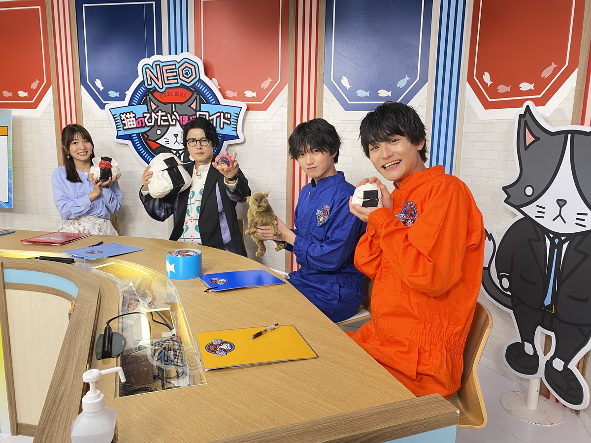 猫のひたいほどワイドNEO tweet media