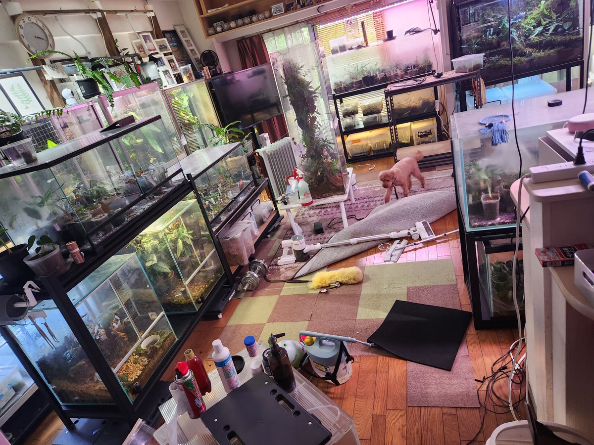 えいりん tweet media